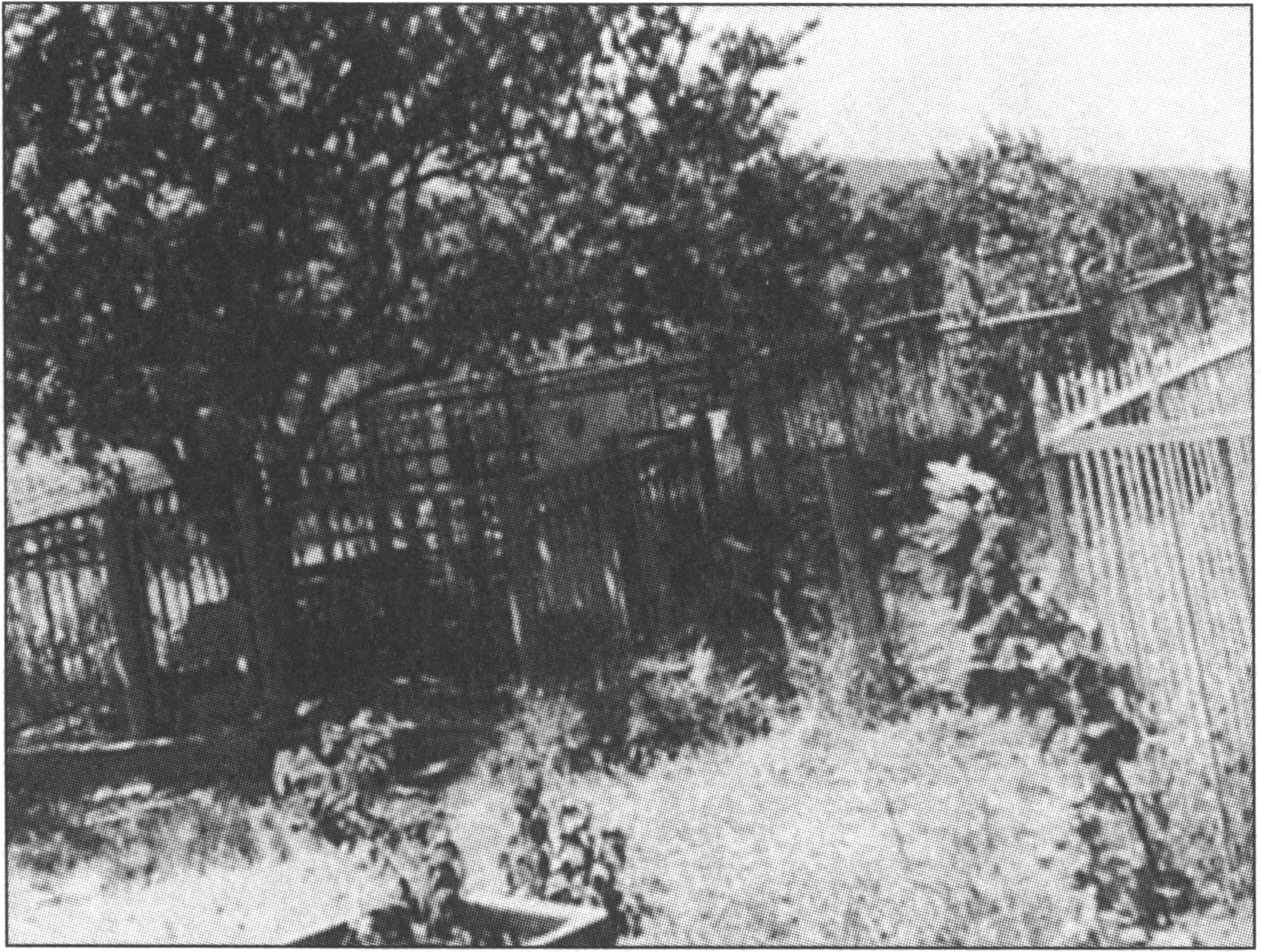 Могила А.С. Грина на старокрымском кладбище. Фото 1960-х годов