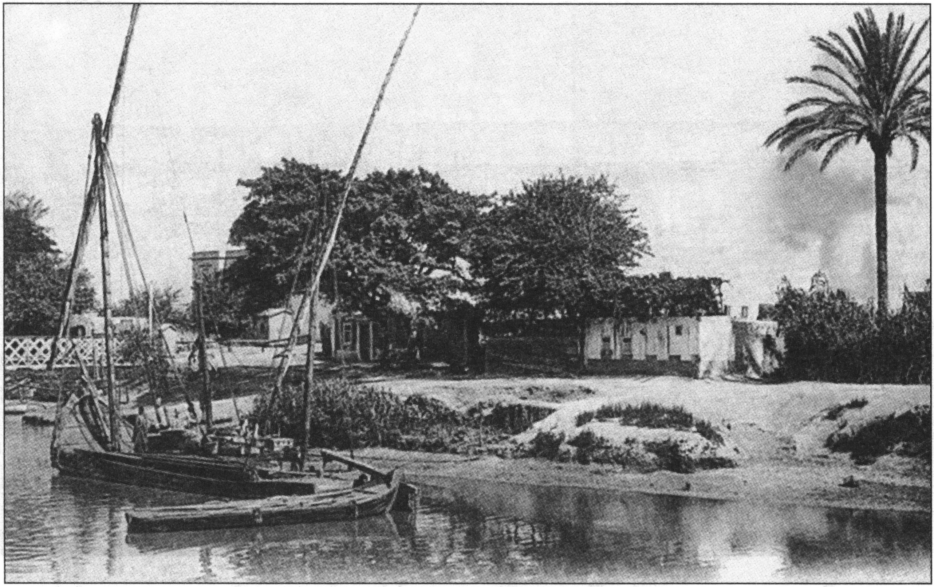 Александрия. Деревня на канале Махмудейх. Открытка начала XX века