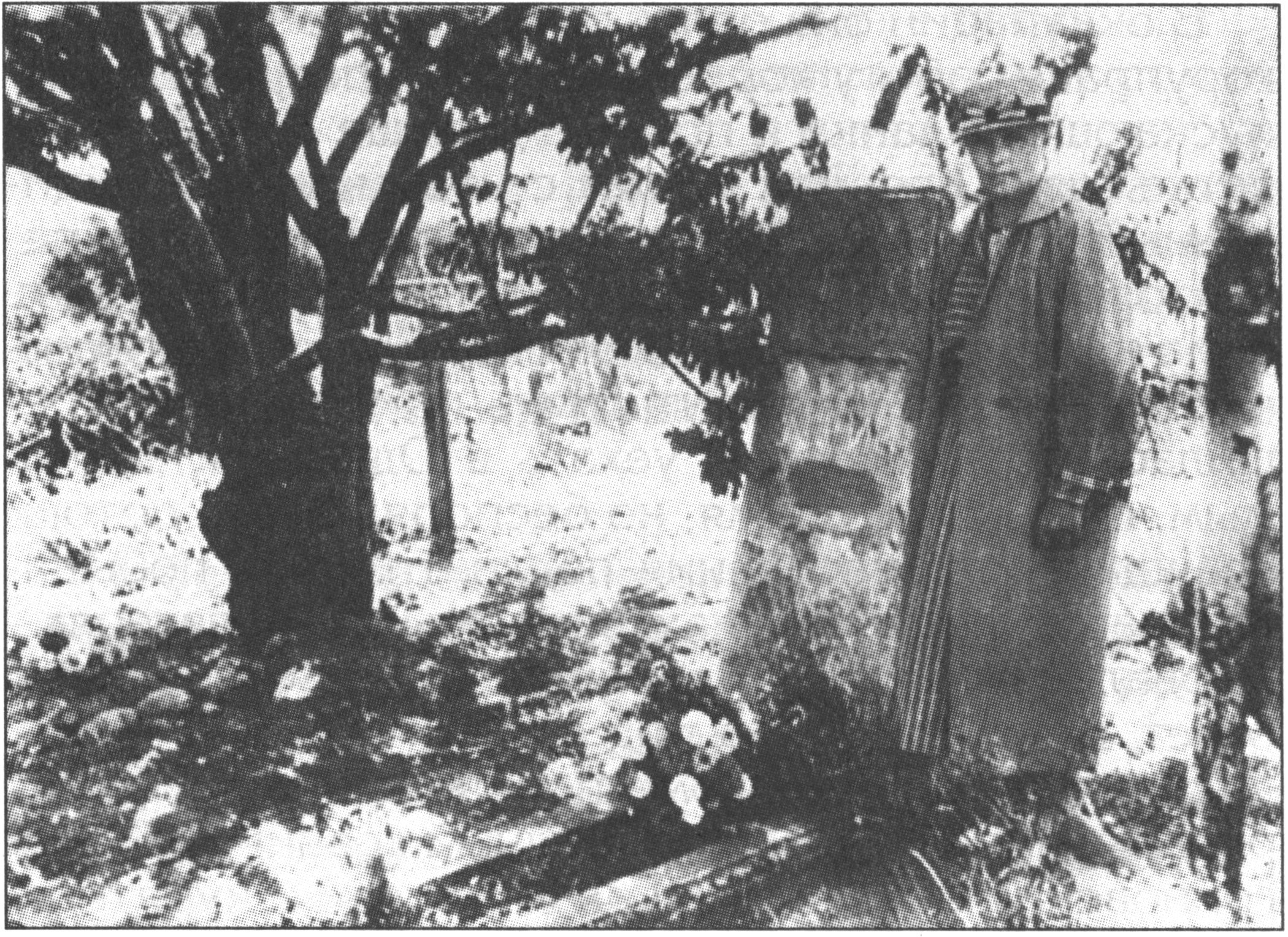 Нина Николаевна Грин в Старом Крыму. У могилы А.С. Грина. Фото 1956 года