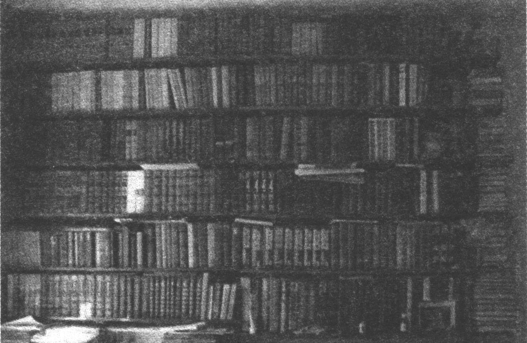 У большинства современных Грину писателей не водилось даже книжного шкафа, не то что домашней библиотеки